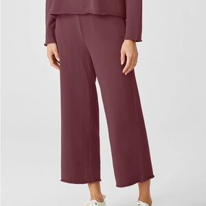 Eileen Fisher Taupe Hoodie organic cotton French terry Sweatshirt and pants